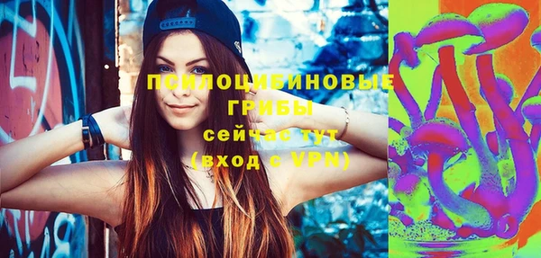 соль ск Навашино