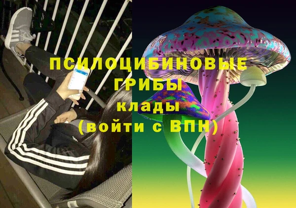 соль ск Навашино